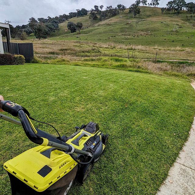 Managed to sneak in some electric-powered mowing before the rain arrived. ryobiau