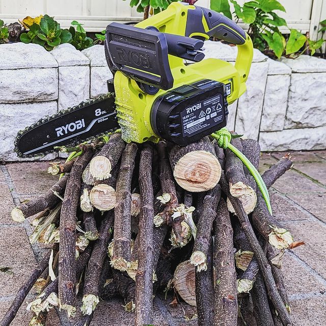 Not bad for this little pruner saw and one 18v battery #ryobi #ryobipowertools #ryobioneplus