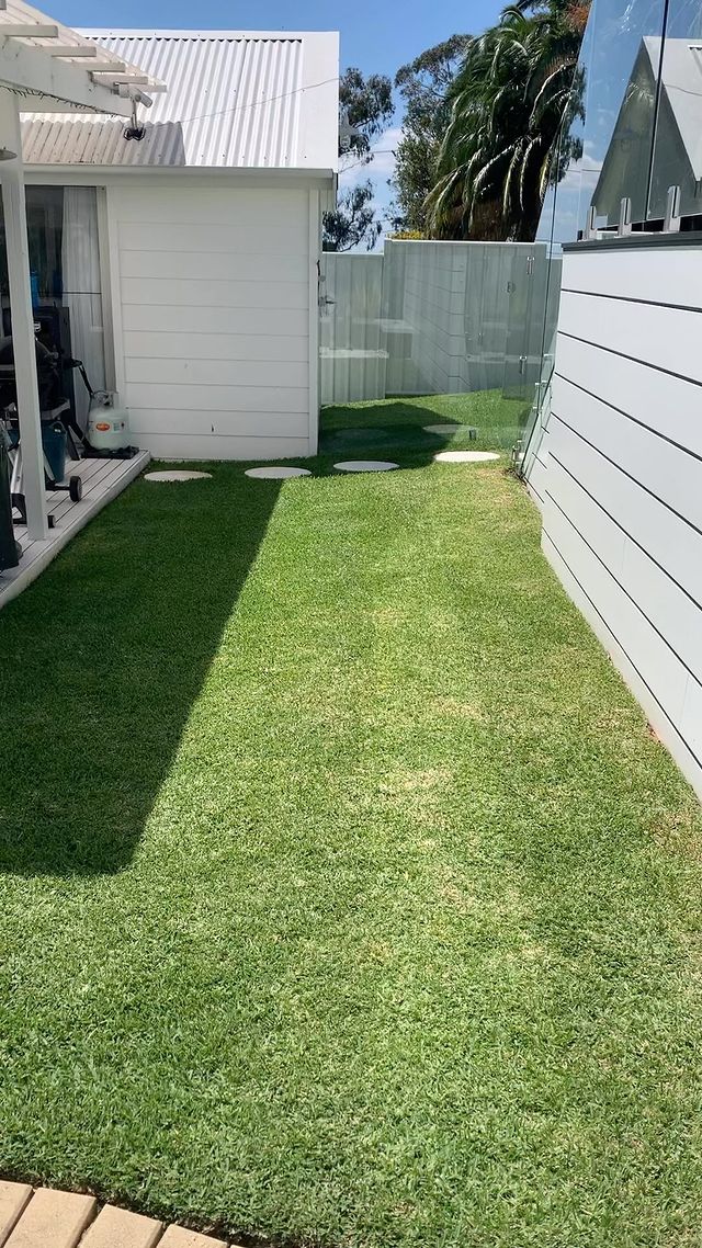 Lawn appreciation day #ryobiaustralia #thewhitehouse2233