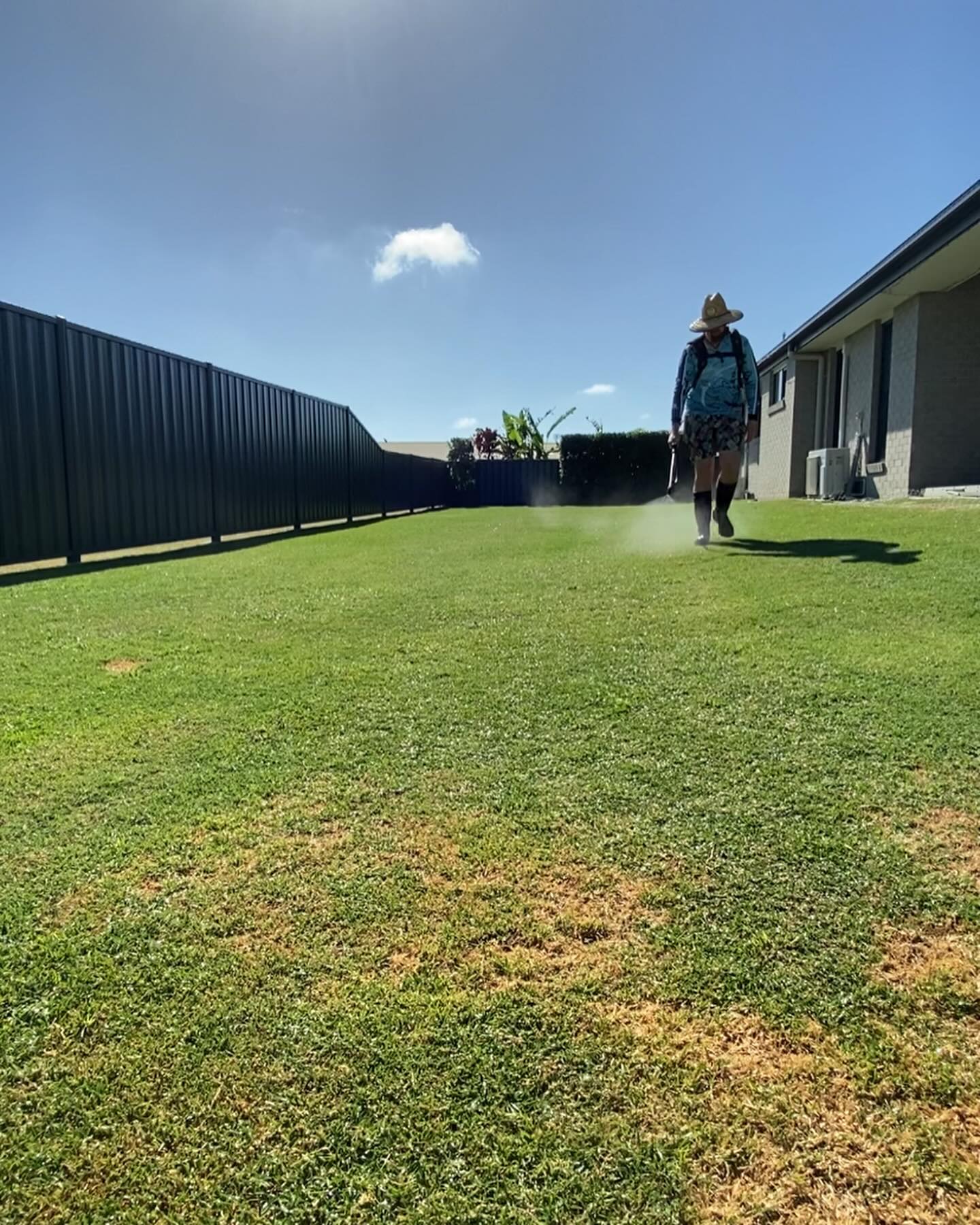 ⛳ Beautiful afternoon on the back yard patch 🎄 Spraying plantdoctorau goodness made easy with ryobiau 👌🏻💚 Back yard reno is so close to popping! Can’t believe this thing is only 16 days post Reno, smashing it 💥✨

#ryobimade #goals #lawngoals #lawndad #ryobi #plantdoctor #lawncare #lawn #lawnmaintenance #lawnlove #spraying #challenge