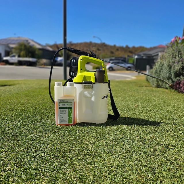 Applied another round of syngentaturfanz PGR to the lawn this morning, this time using my ryobiau 18V spray pack for an even coverage. I have seen a reduction in the growth since my last application of this product, so I am keen to see the results of this application with the aim of a further reduction in vertical growth, aiming for a lower mowing frequency to fit in with my busy schedule and a thicker, healthier lawn overall. 

#perthlawn #perthlawncare #perthturf #perthlawnmowing #lawnmaintenance #lawn #turfgrass #buffalolawn #syngenta #pgr #perthlandscaping #landscaping #reticulation #perthbackyard #gardening #baileysfertilisers #baileysgrowgardens #gardeningaustralia #betterhomesandgardens #perthhomes #perthlawns #perthgardening #perth #perthgram #lawnsolutionsaustralia #lawntips #lawncare #lawnadvice #ryobi #ryobimade